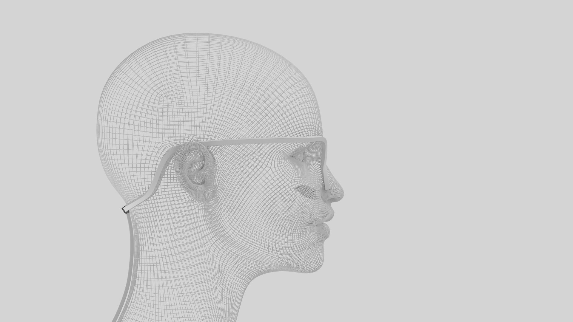 Wireframe head side view